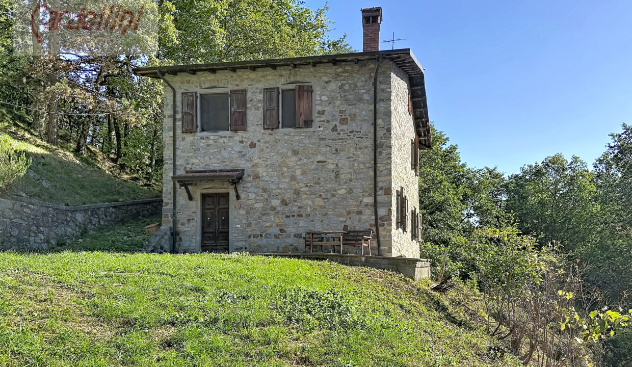 capoli_00001 (15)