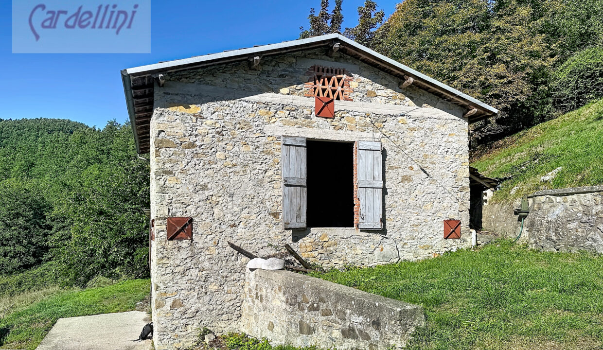 capoli_00001 (17)