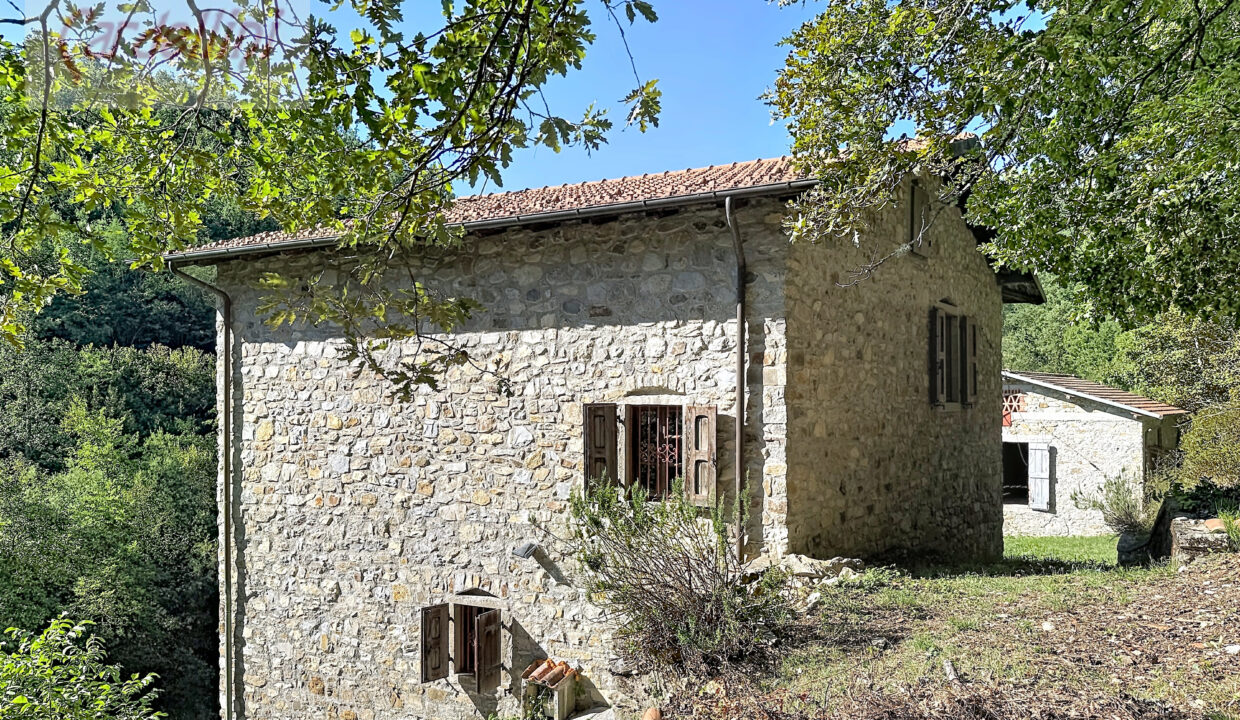 capoli_00001 (19)