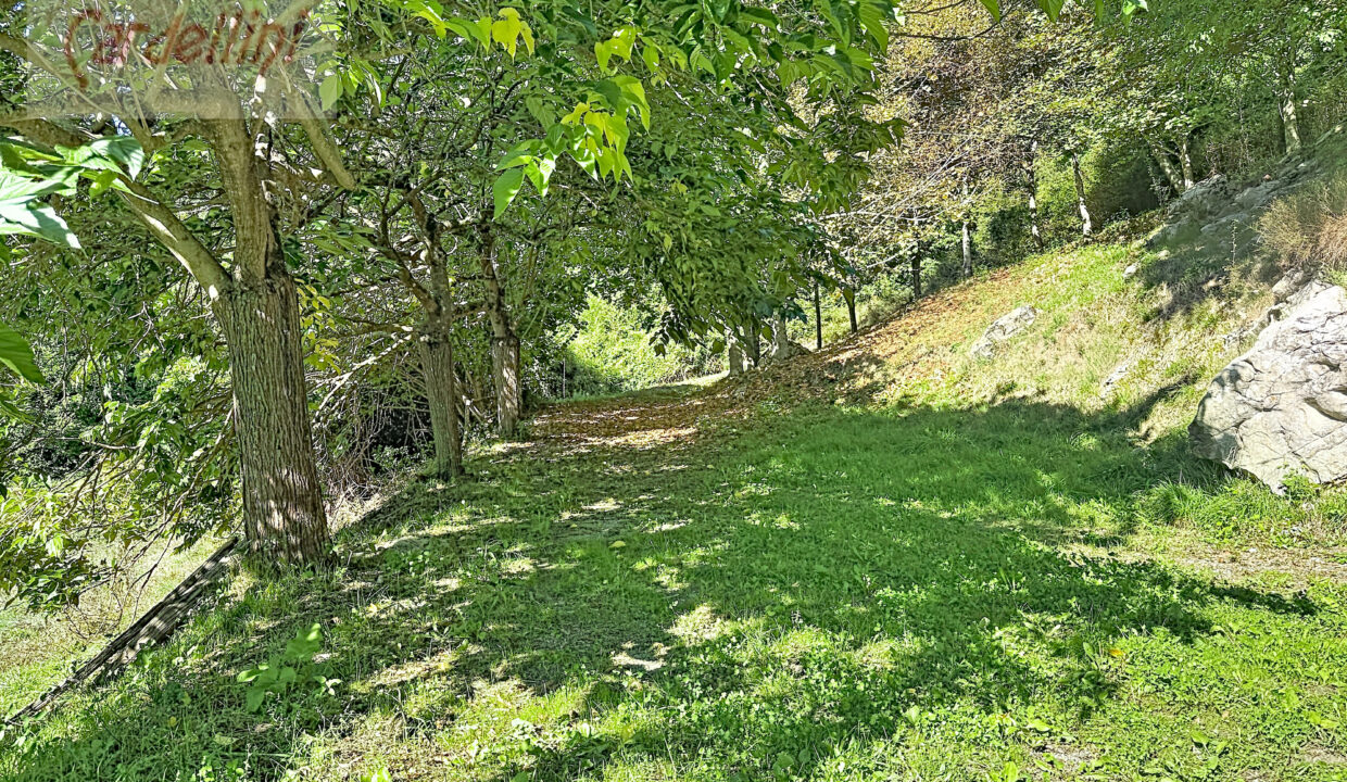 capoli_00001 (29)