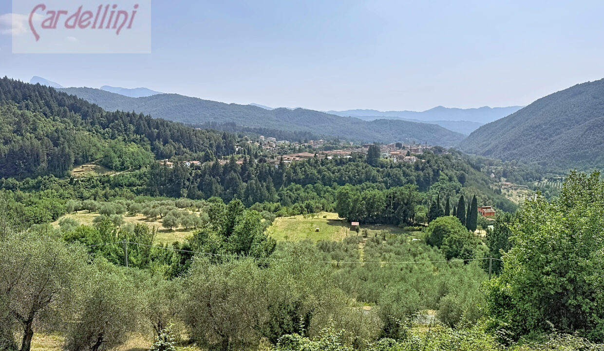 fivi-arlia_00101
