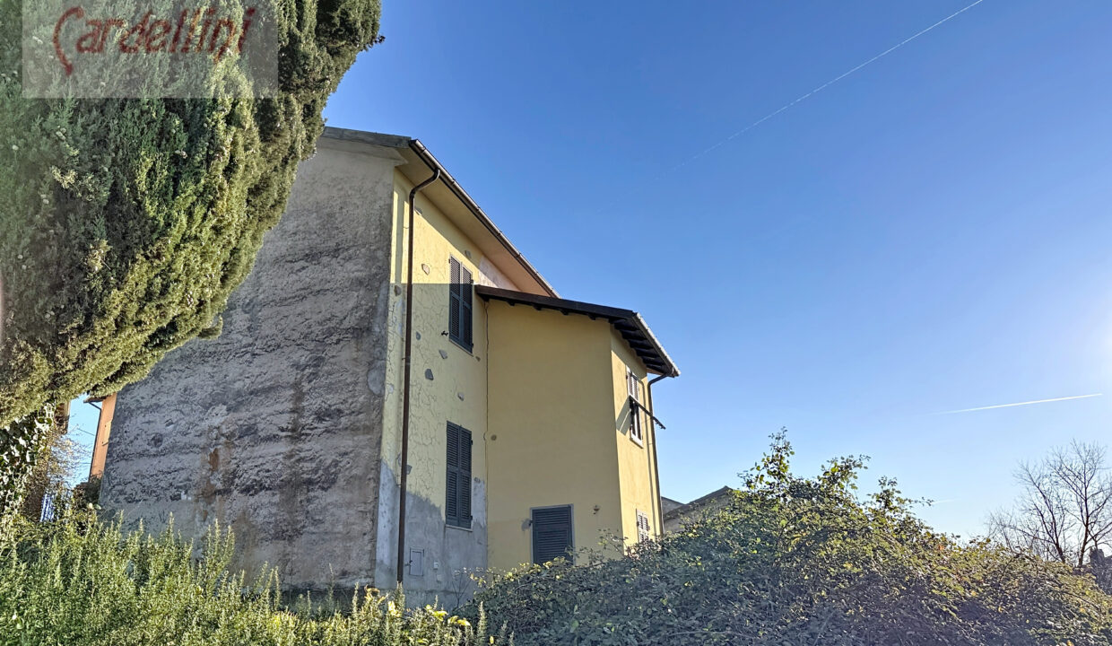 caugliano_00001 (1)