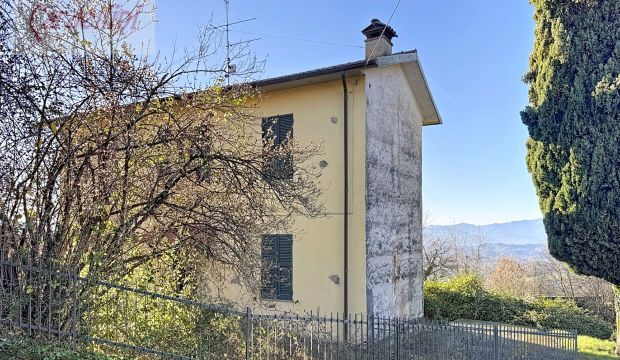 caugliano_00001 (2)