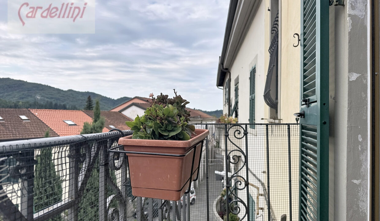 fivizzano-marzocco_00001 (14)