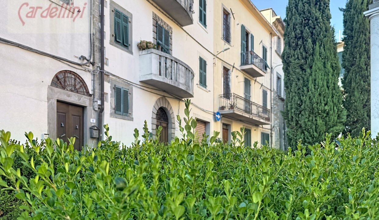 fivizzano-marzocco_00001 (22)