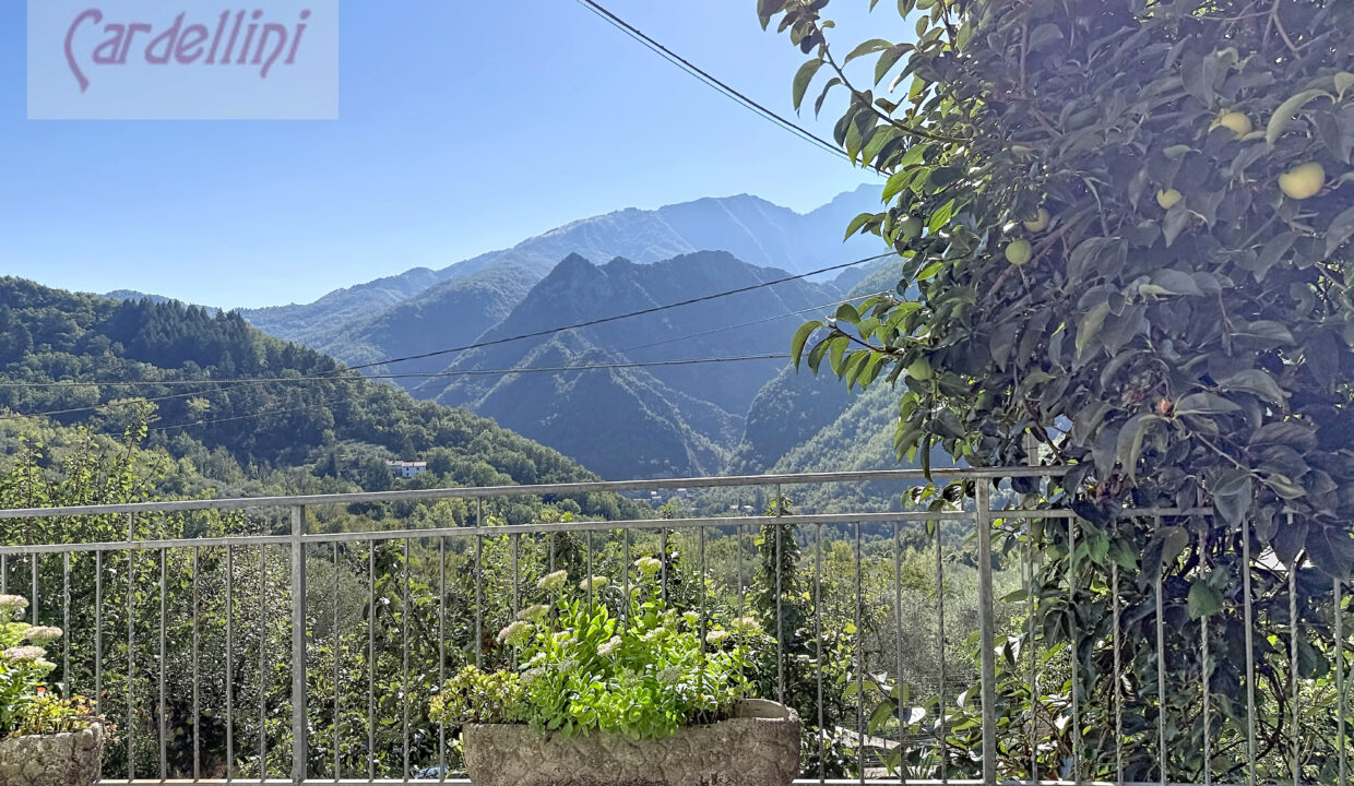mezzana-olanda_00001 (15)