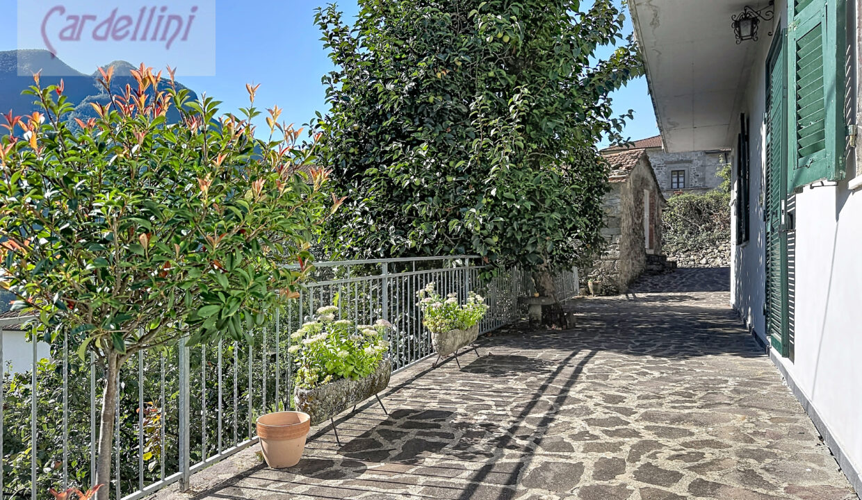 mezzana-olanda_00001 (17)