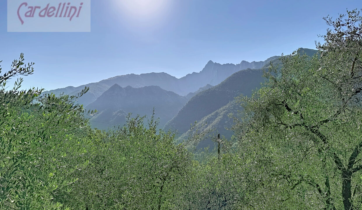 mezzana-olanda_00101 (1)