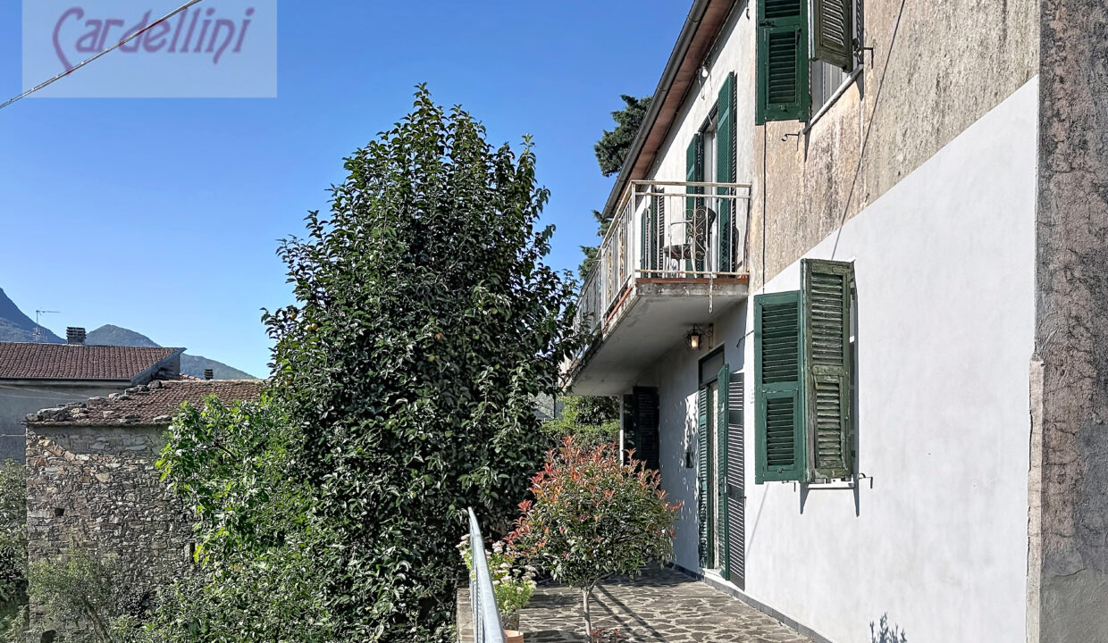 mezzana-olanda_00101 (2)