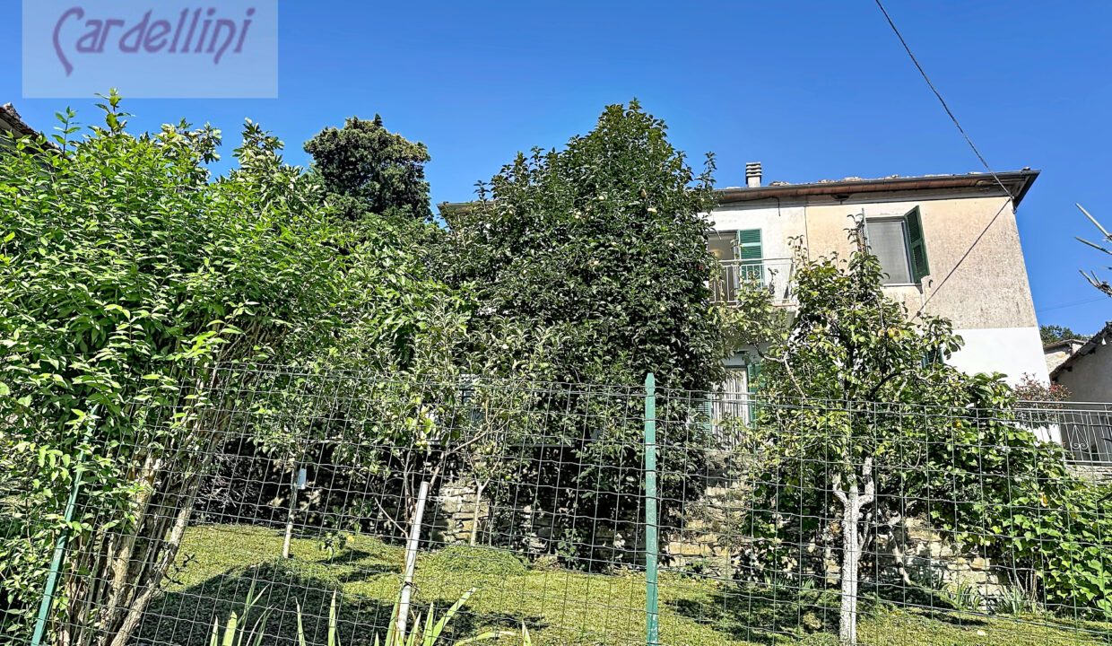 mezzana-olanda_00101 (3)
